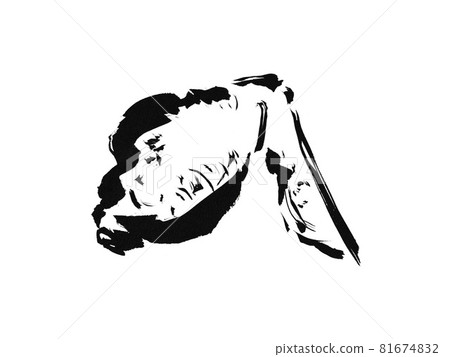 Hand drawn illustration of chicken wings Hand drawn illustration of chicken wings 81674832