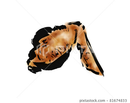 Hand drawn illustration of chicken wings 81674833