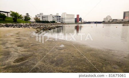 大森海濱公園寬敞寧靜的沙灘 大森海濱公園寬敞寧靜的沙灘 81675061