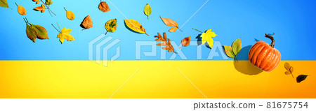 Autumn pumpkin with colorful leaves overhead view Autumn pumpkin with colorful leaves overhead view 81675754