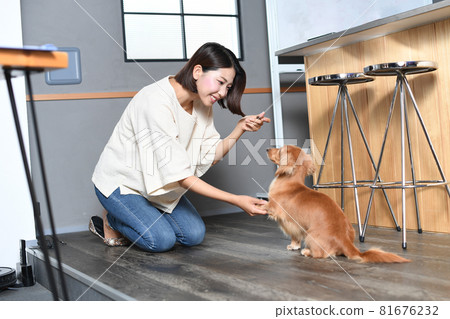 管教狗的年輕女性所有者 管教狗的年輕女性所有者 81676232