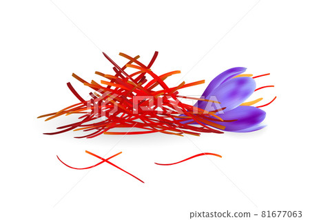 Realistic saffron pestles heap and fresh flower isolated on white background. Dried seasoning illustration. 81677063
