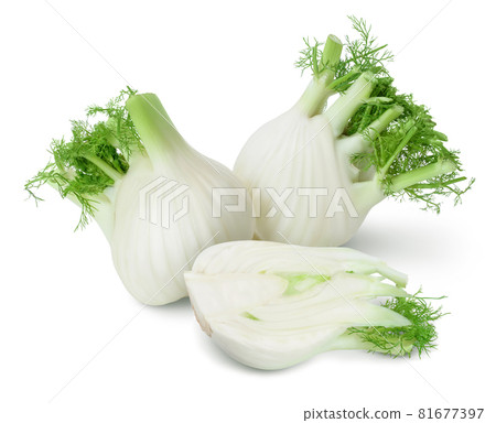fresh fennel bulb with half isolated on white background with full depth of field 81677397