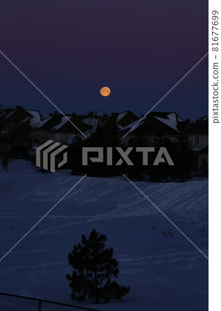 Canada's cold early morning moonset 81677699