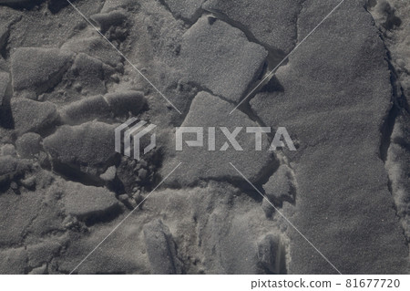 Canada Snowfield Snow Texture Canada Snowfield Snow Texture 81677720