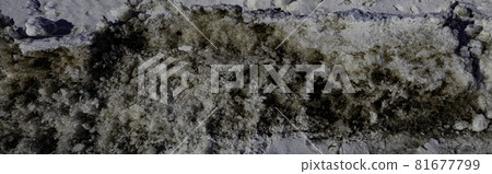 Canada Snowfield Dirty Snow Texture 81677799