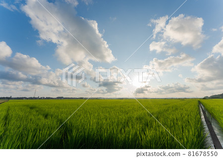 Blue sky white clouds Inada 81678550