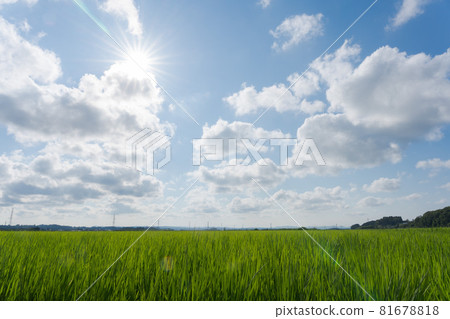 Blue sky Inada scenery Blue sky Inada scenery 81678818
