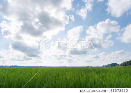 Blue sky Inada scenery Blue sky Inada scenery 81678820