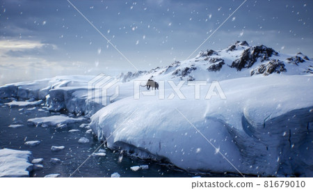 A huge mammoth is walking along a snow-covered glacier. Huge high glaciers in winter natural conditions. Arctic winter landscape. 3D Rendering. A huge mammoth is walking along a snow-covered glacier. Huge high glaciers in winter natural conditions. Arctic winter landscape. 3D Rendering. 81679010