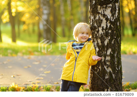 Little boy having fun during stroll in the public park with birch trees at sunny autumn day. Active family time on nature. Hiking with little kids. Little boy having fun during stroll in the public park with birch trees at sunny autumn day. Active family time on nature. Hiking with little kids. 81679809
