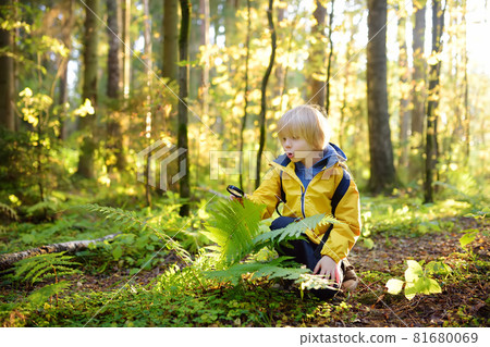 Preschooler boy is exploring nature with magnifying glass. Little child is looking on leaf of fern with magnifier. Summer vacation for inquisitive kids in forest. Hiking. 81680069