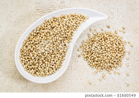 white sorghum grain white sorghum grain 81680549