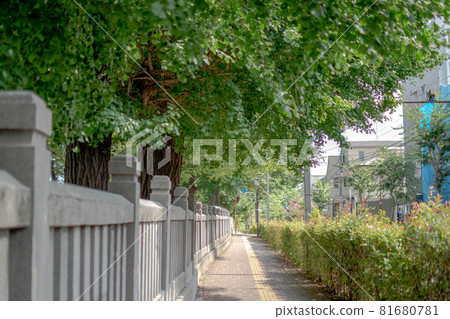 Semizaka/Kanakazato, Kita Ward 81680781