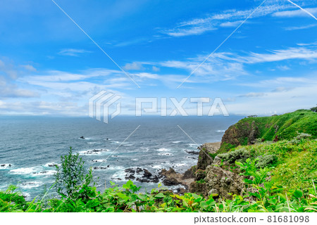[Summer travel image] Fresh green season and the Sea of Japan 81681098