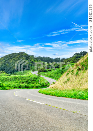 [Summer driving image] A refreshing road surrounded by fresh greenery 81681156
