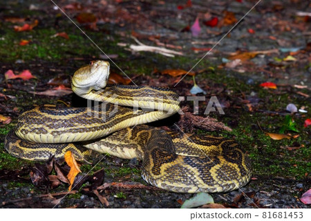 圖書中心 81681453