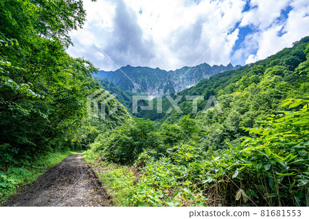 [Gunma Prefecture] Tanigawadake, walking trail to Yunosawa 81681553