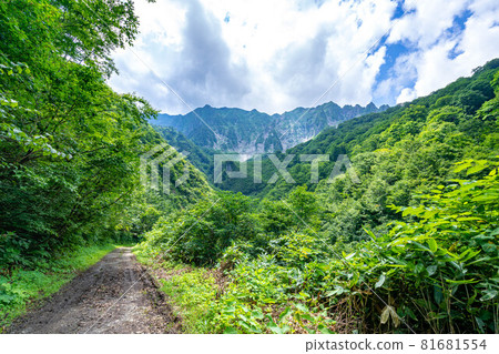 [Gunma Prefecture] Tanigawadake, walking trail to Yunosawa 81681554
