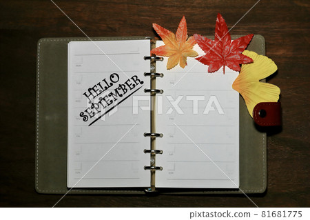 System planner and September System planner and September 81681775