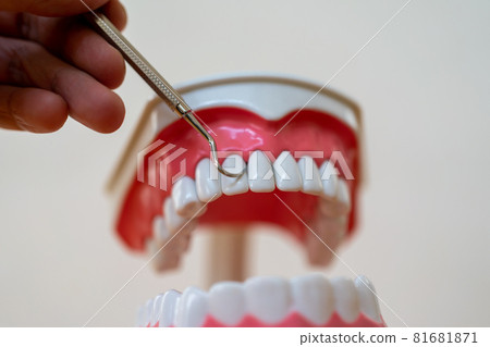定標器 81681871