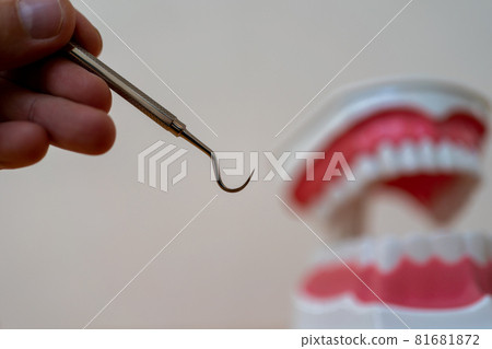 定標器 81681872