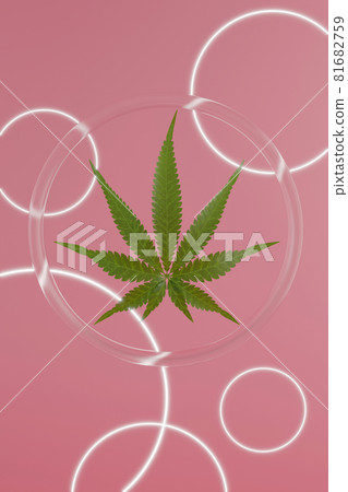 Green hemp leaves on pink background. 3d render texture. Round glass background with glowing circles. 81682759