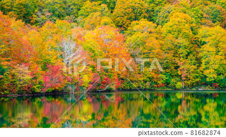 Autumn leaves of Kamike 81682874