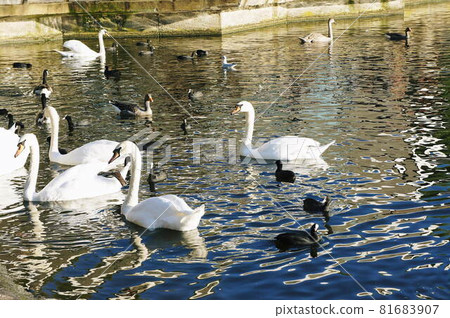 倫敦的初秋景色 81683907