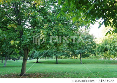 倫敦的初秋景色 倫敦的初秋景色 81683922