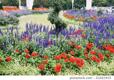 倫敦的初秋景色 81683935