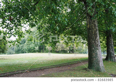 Early autumn scenery in London 81683985