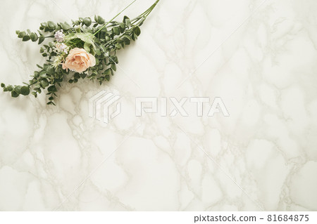Marble and plant background material 81684875