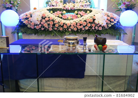 蝴蝶蘭花的時尚花壇 蝴蝶蘭花的時尚花壇 81684902