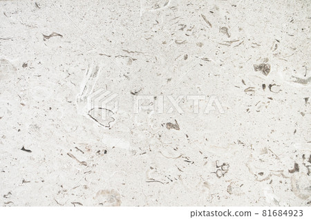 背景_大理石紋理與貝殼 背景_大理石紋理與貝殼 81684923