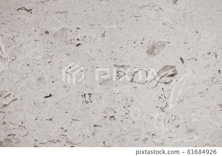 背景_大理石紋理與貝殼 81684926