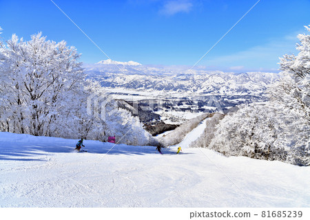 View toward Mt. Myoko from Nozawa Onsen Ski Resort / Skyline Course (Nozawa Onsen Village, Nagano Prefecture) [2021.2] 81685239