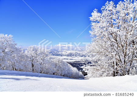 View toward Mt. Myoko from Nozawa Onsen Ski Resort / Skyline Course (Nozawa Onsen Village, Nagano Prefecture) [2021.2] 81685240
