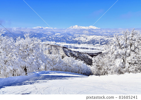 View toward Mt. Myoko from Nozawa Onsen Ski Resort / Skyline Course (Nozawa Onsen Village, Nagano Prefecture) [2021.2] 81685241