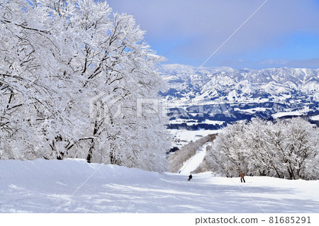 Nozawa Onsen Ski Resort / Skyline Course (Nozawa Onsen Village, Nagano Prefecture) [2021.2] 81685291