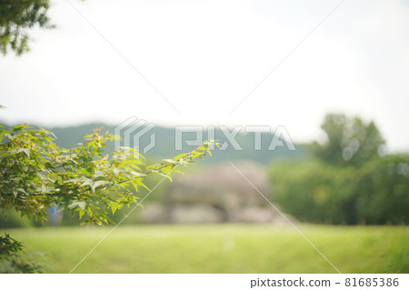 Hill stone stage old lens 81685386