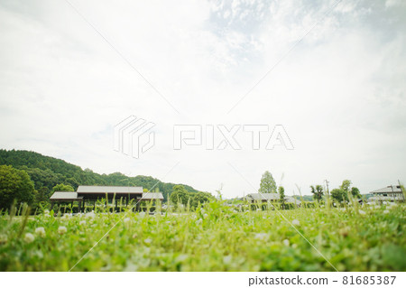 Hill stone stage old lens 81685387