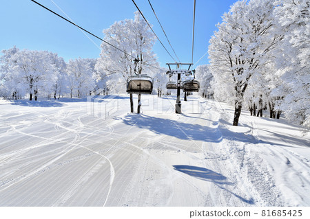 Nozawa Onsen Ski Resort Uenohira Slope (Nozawa Onsen Village, Nagano Prefecture) [2021.2] 81685425