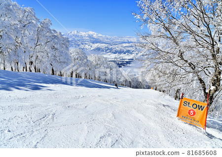 View toward Mt. Myoko from Nozawa Onsen Ski Resort / Yamabiko E Course (Nozawa Onsen Village, Nagano Prefecture) [2021.2] 81685608
