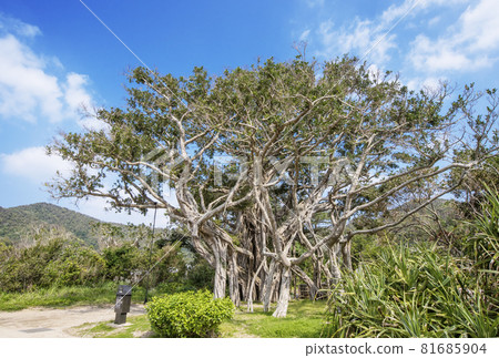 Amami Kakeromajima Osai Amami remote island Amami sightseeing spot Movie location Amami Islands Amami Kakeromajima Osai Amami remote island Amami sightseeing spot Movie location Amami Islands 81685904