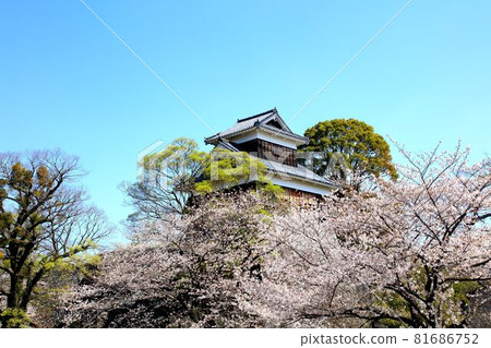 熊本城 2021 熊本城 2021 81686752