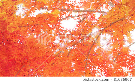 Autumn leaves watercolor style Autumn leaves watercolor style 81686967