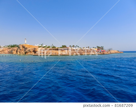 Reefs on Red sea beach resort in Egypt 81687209