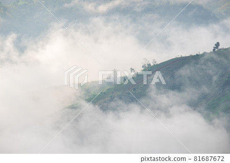 Surreal landscape of morning foggy..Morning clouds at sunrise.Landscape of fog and mountains of northern Thailand. Surreal landscape of morning foggy..Morning clouds at sunrise.Landscape of fog and mountains of northern Thailand. 81687672