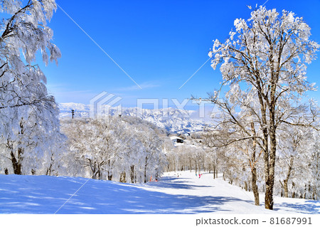 野澤溫泉滑雪場/從山彥滑雪場眺望小源梨展望台（長野縣野澤溫泉村） [2021.2] 81687991